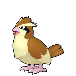 Pidgey
