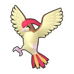 Pidgeotto