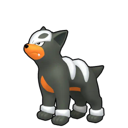 Houndour
