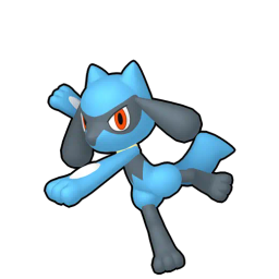Riolu